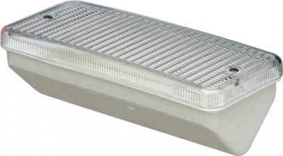 12561