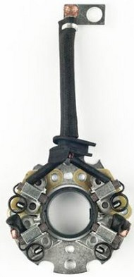 31561