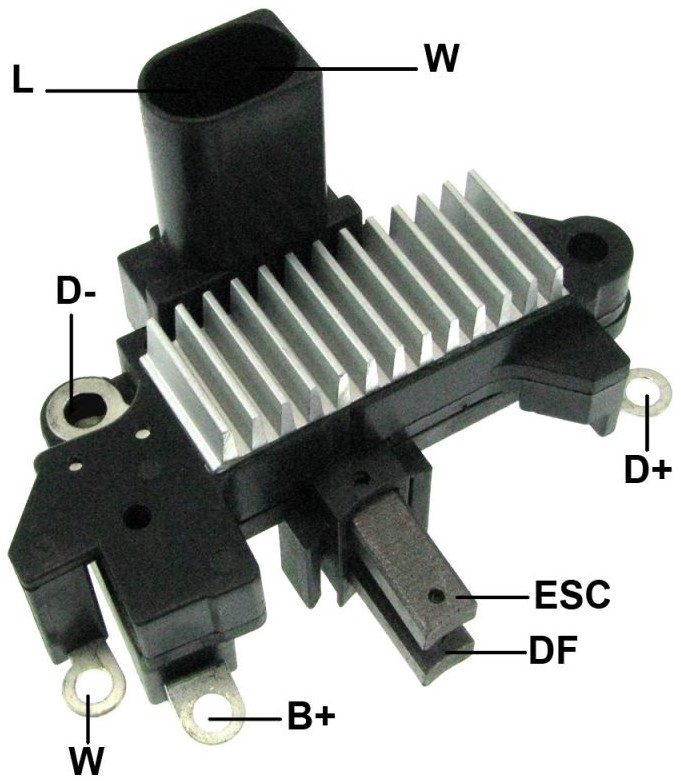 31803