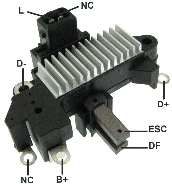 31804