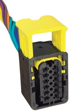 54625