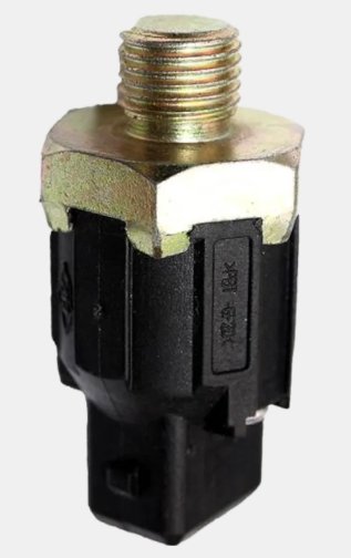 SENSOR DETONACAO  RENAULT CLIO  2002>2010\CLIO  2015>2015\DUSTER 1.6 L4 2011>2016\EXPRESS 1.6 L4 1998>2003\KANGOO 1.6 L4 2002>2016\LAGUNA 2.0 L4 1999>1999\LAGUNA 2.0 L4 2003>2005